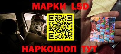 a pvp Свободный