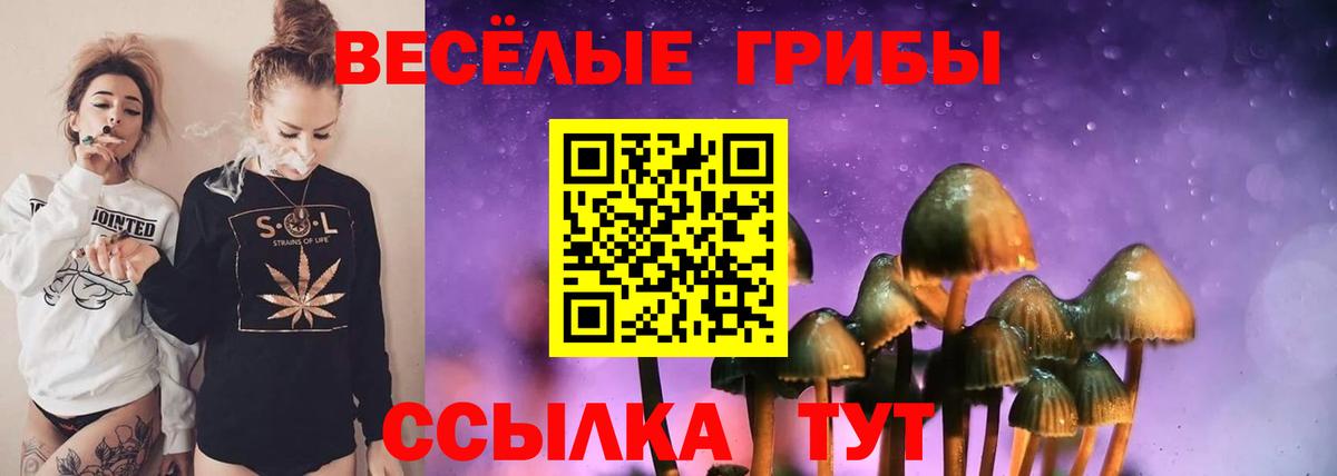 Псилоцибиновые грибы Psilocybe  Вход с VPN  Галлюциногенные грибы Psilocybine cubensis  Саяногорск 